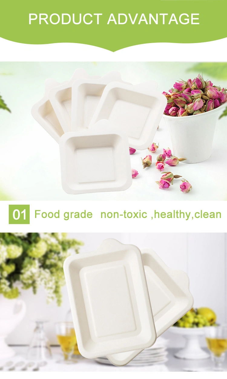 100% Environment-Friendly Biodegradable Plate Sugarcane Bagasse